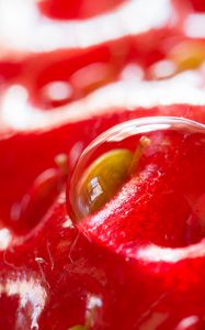 Preview wallpaper strawberry, berry, water, drop, macro