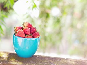 Preview wallpaper strawberry, cup, berry, berries, food
