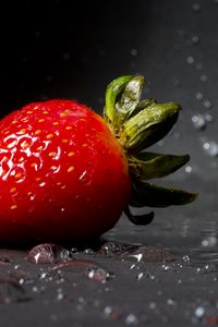 Preview wallpaper strawberry, drops, berry, close-up