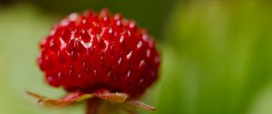 Preview wallpaper strawberry, food, berries, leaves, macro