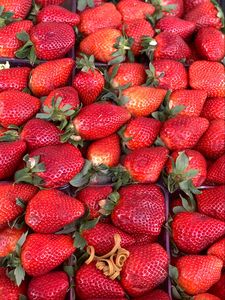 Preview wallpaper strawberry, fruit, berries, red
