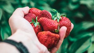 Preview wallpaper strawberry, hand, berries, red