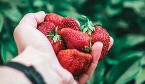 Preview wallpaper strawberry, hand, berries, red