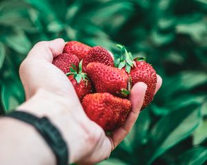 Preview wallpaper strawberry, hand, berries, red