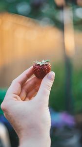 Preview wallpaper strawberry, hand, berry, fruit