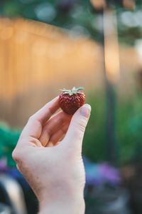 Preview wallpaper strawberry, hand, berry, fruit