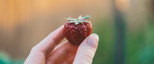 Preview wallpaper strawberry, hand, berry, fruit