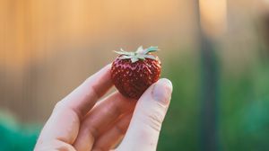 Preview wallpaper strawberry, hand, berry, fruit