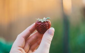 Preview wallpaper strawberry, hand, berry, fruit