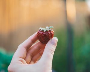 Preview wallpaper strawberry, hand, berry, fruit