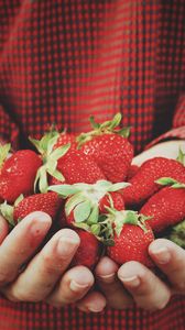 Preview wallpaper strawberry, hands, berries, harvest