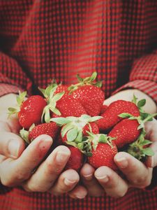 Preview wallpaper strawberry, hands, berries, harvest