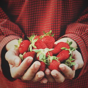 Preview wallpaper strawberry, hands, berries, harvest