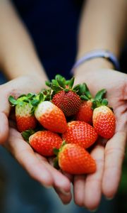 Preview wallpaper strawberry, hands, berries, ripe, juicy, summer