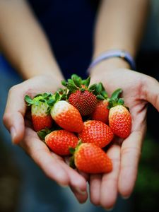 Preview wallpaper strawberry, hands, berries, ripe, juicy, summer