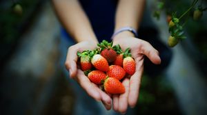 Preview wallpaper strawberry, hands, berries, ripe, juicy, summer