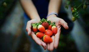 Preview wallpaper strawberry, hands, berries, ripe, juicy, summer