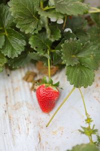 Preview wallpaper strawberry, leaves, berry, food, surface