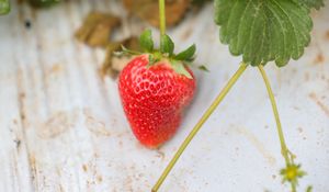 Preview wallpaper strawberry, leaves, berry, food, surface