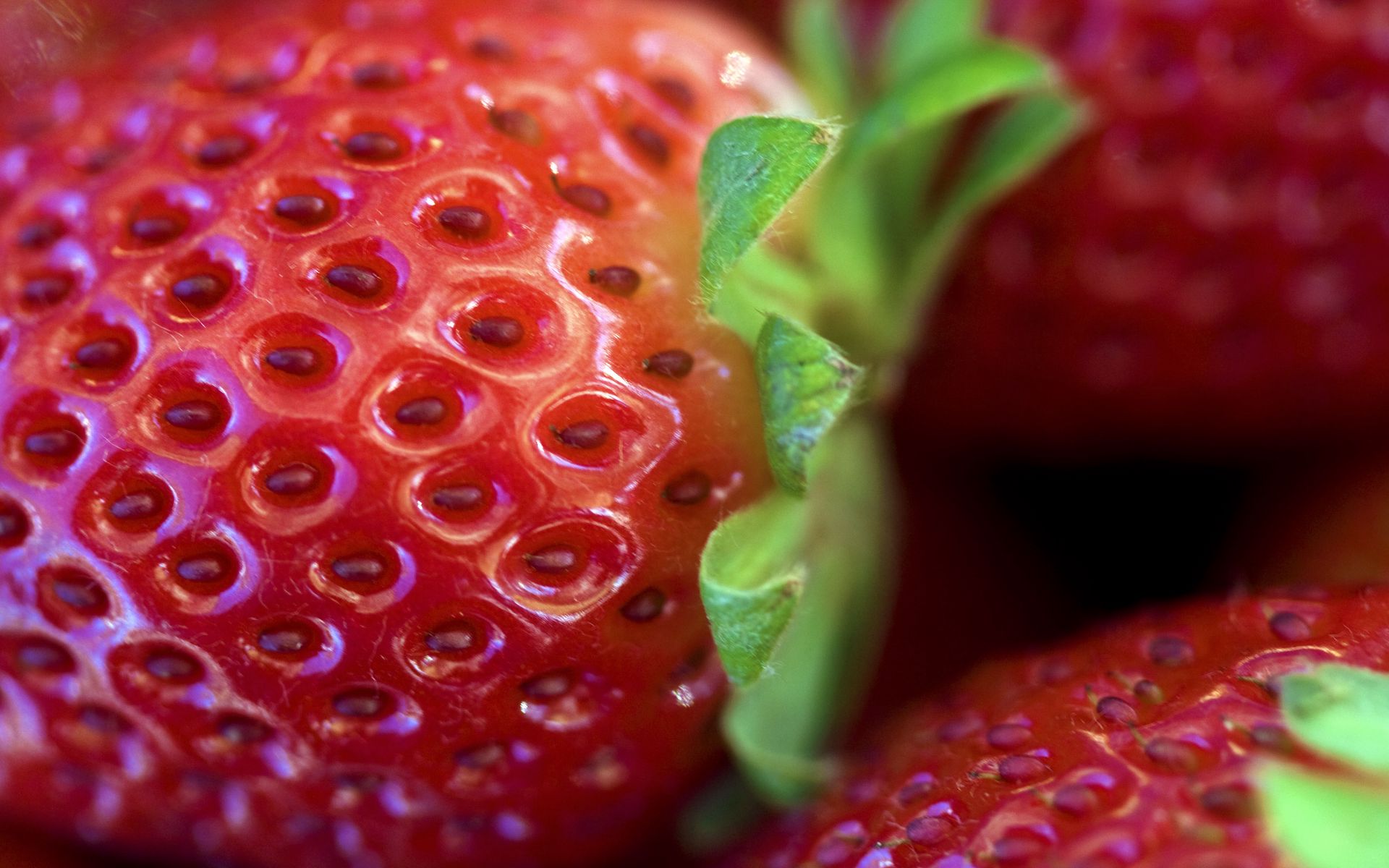 Download wallpaper 1920x1200 strawberry, leaves, berry, macro, red