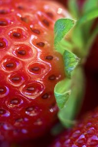 Preview wallpaper strawberry, leaves, berry, macro, red