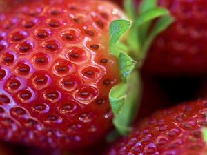 Preview wallpaper strawberry, leaves, berry, macro, red