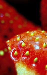 Preview wallpaper strawberry, macro, berry, red