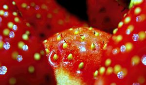 Preview wallpaper strawberry, macro, berry, red