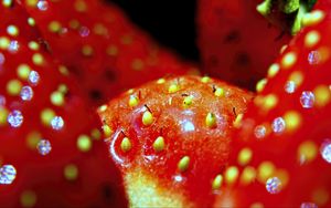 Preview wallpaper strawberry, macro, berry, red