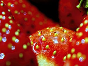 Preview wallpaper strawberry, macro, berry, red