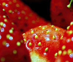 Preview wallpaper strawberry, macro, berry, red