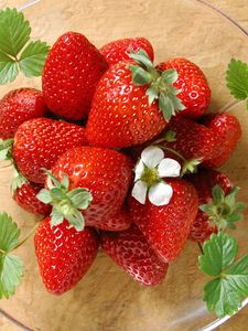 Preview wallpaper strawberry, plate, flowers, leaves, glass, berry