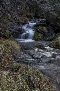 Preview wallpaper stream, cascade, grass, stones, nature