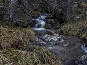 Preview wallpaper stream, cascade, grass, stones, nature