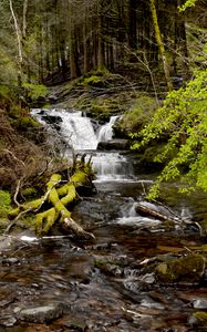 Preview wallpaper stream, cascade, moss, stones