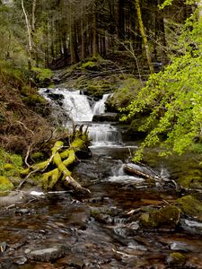 Preview wallpaper stream, cascade, moss, stones
