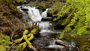 Preview wallpaper stream, cascade, moss, stones