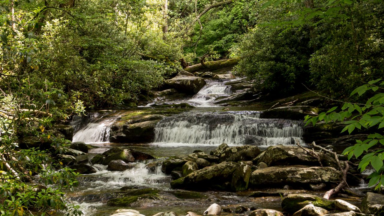 Wallpaper stream, cascade, stones, trees