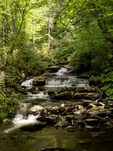 Preview wallpaper stream, cascade, stones, trees