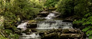 Preview wallpaper stream, cascade, stones, trees