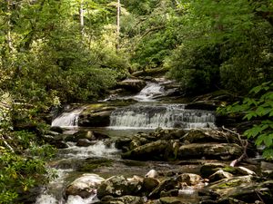 Preview wallpaper stream, cascade, stones, trees