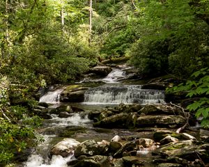 Preview wallpaper stream, cascade, stones, trees