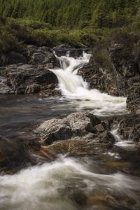 Preview wallpaper stream, cascade, water, foam, stones, trees