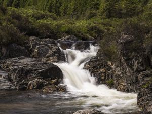 Preview wallpaper stream, cascade, water, foam, stones, trees