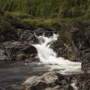 Preview wallpaper stream, cascade, water, foam, stones, trees