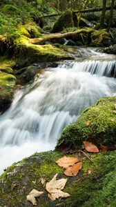 Preview wallpaper stream, cascade, waterfall, grass, leaves