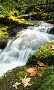 Preview wallpaper stream, cascade, waterfall, grass, leaves