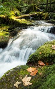 Preview wallpaper stream, cascade, waterfall, grass, leaves