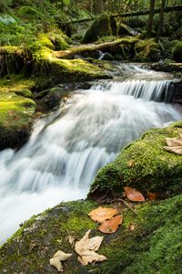 Preview wallpaper stream, cascade, waterfall, grass, leaves