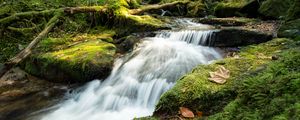 Preview wallpaper stream, cascade, waterfall, grass, leaves